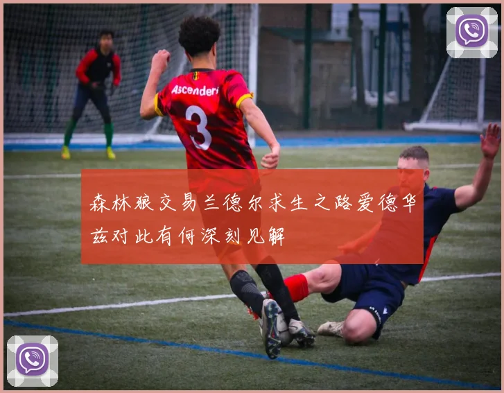 森林狼交易兰德尔求生之路爱德华兹对此有何深刻见解