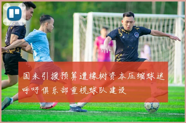 国米引援预算遭橡树资本压缩球迷呼吁俱乐部重视球队建设