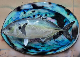 Fish Art 2D and 3D Sculpture - titled 'Colours of the Ocean'